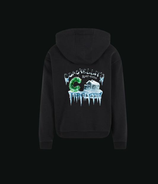SWEAT À CAPUCHE COACHELLITO